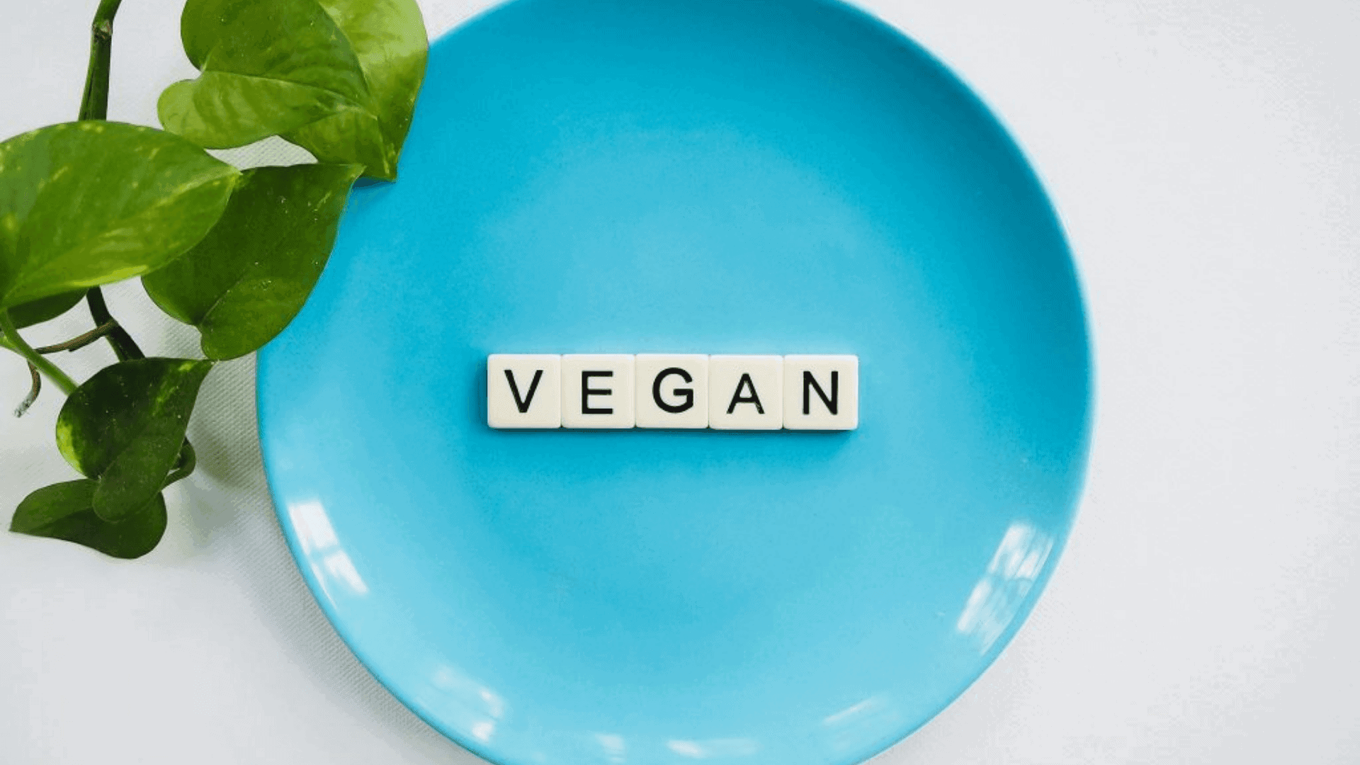 Is CBD Vegan-Friendly?
